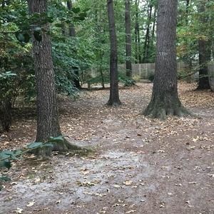 Meet your Posher, Diego